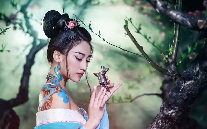 高贵美艳的古代妃子