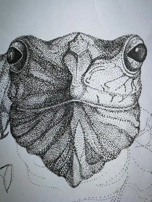 针管笔点画练习