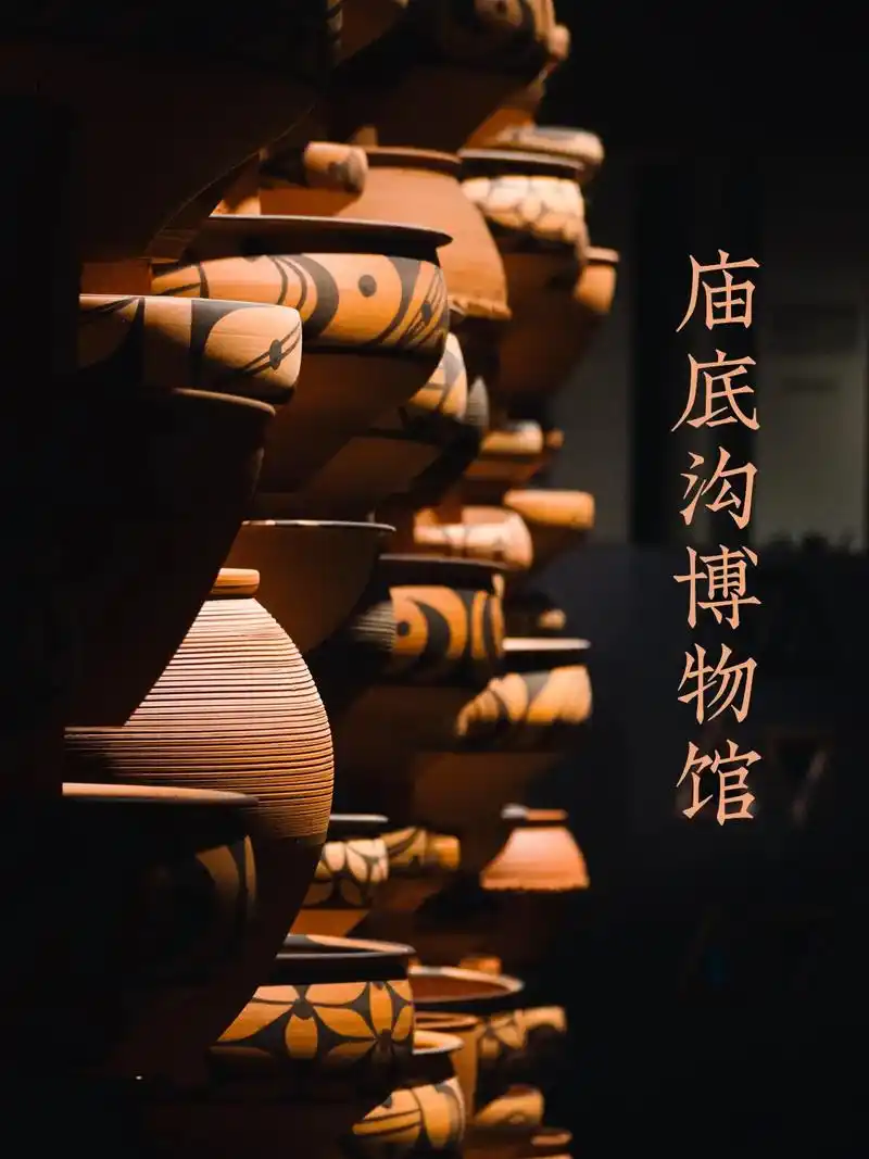 庙底沟博物馆.仰韶玫瑰 花开中国 - 抖音