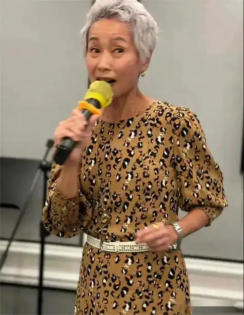 对于叶童,相信认识的人应该很多,可能对于70,80后来说应该更加的熟悉