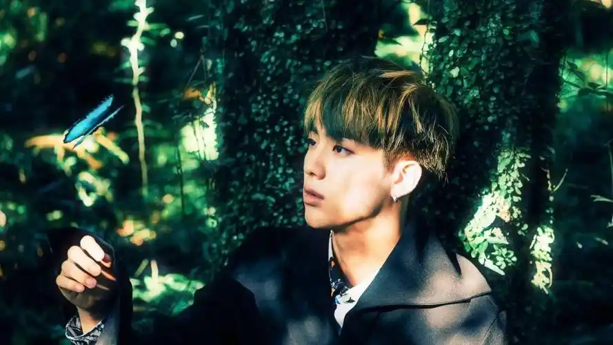 防弹少年团金硕珍高清壁纸