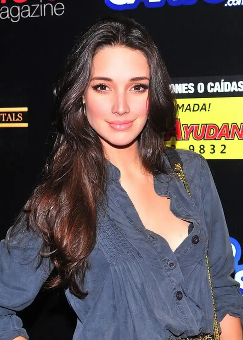 艾米莉·维嘉(amelia vega)nba中锋艾尔·霍福德的妻子,来自多米尼加