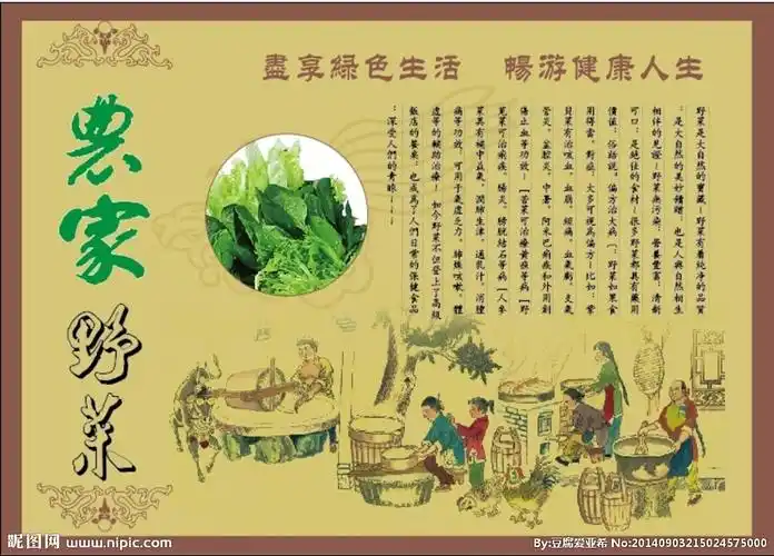 键 词:农家土菜管 招牌菜 野菜 生态 农家 土菜馆