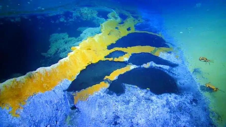 这让全球生物学家们大为不解,要知道,海底湖的泥浆中存在大量不溶于水