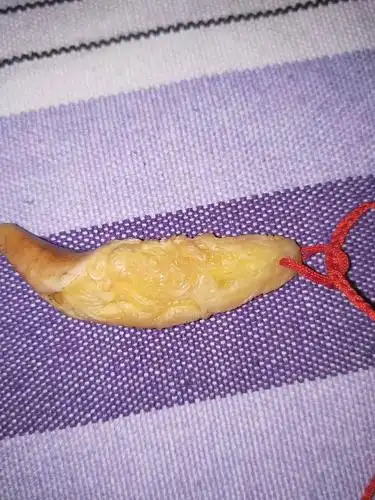 熊牙开裂修复怎么搞,怎么保养求大神指教,顺便请懂行的大神帮我看看我