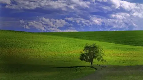 绿色养眼风景,高清图片,电脑桌面-壁纸族