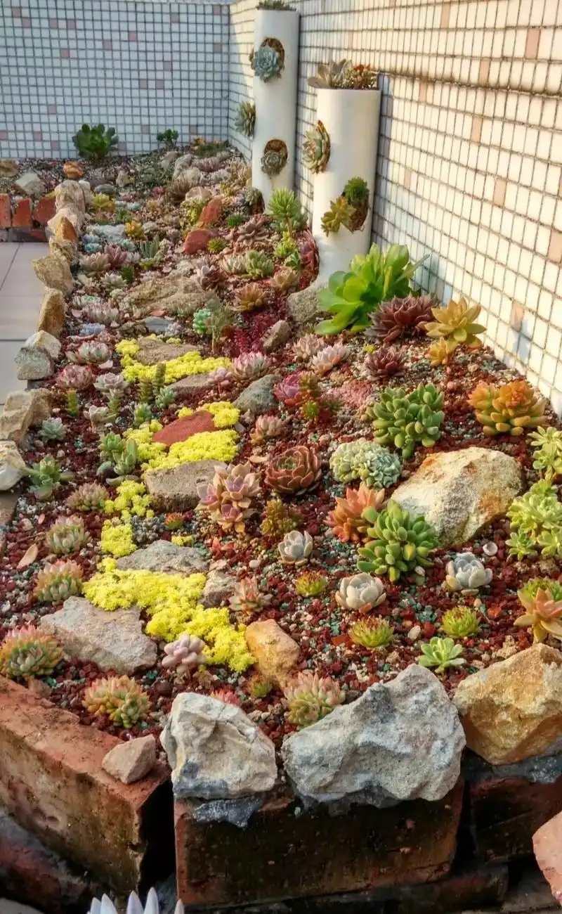 养肉6年,盘点下做过的多肉微景观