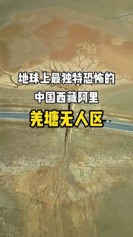 我和奇葩室友的日常的微博视频