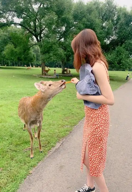 22岁的张舒越成为央视春晚主持人她凭什么