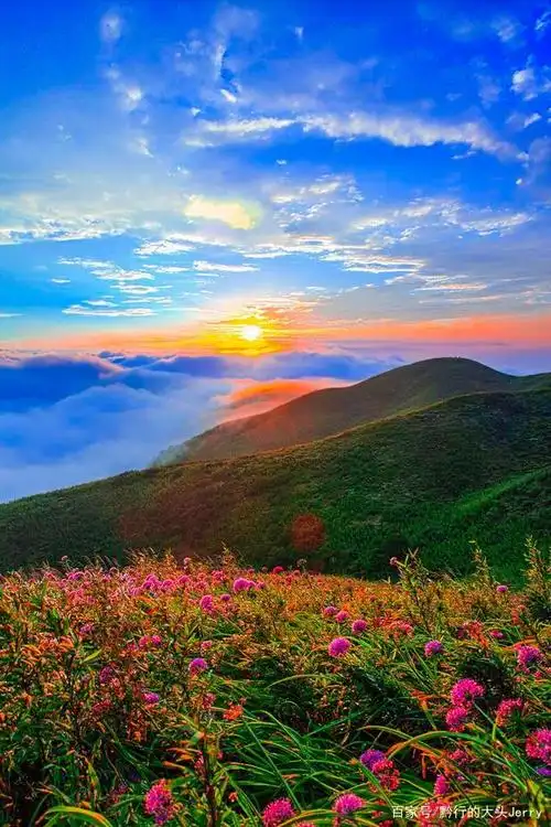 她被评为中国十大避暑名山,有全国唯一高山紫色花海"东方普罗旺斯"的