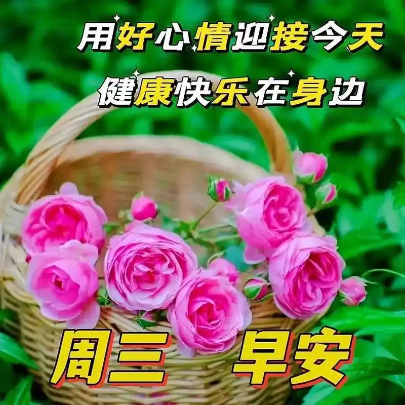 周三早安,温馨祝福图片带字
