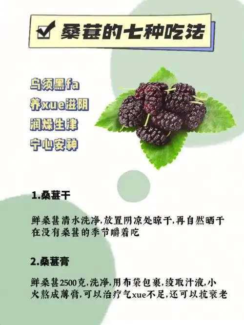 桑葚的766种吃法总有一种是你需要的