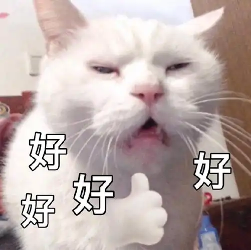 萌宠喵星人好好好非常棒淘气可爱gif动图_动态图_表情包下载_soogif