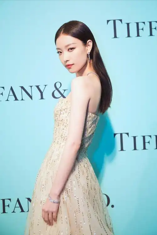 倪妮 蒂芙尼晚宴