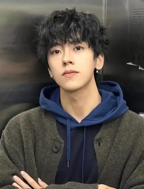 男生韩式发型微分蝴蝶烫