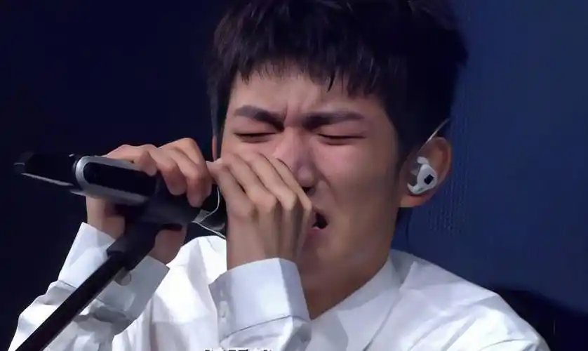 王俊凯_王源_单飞