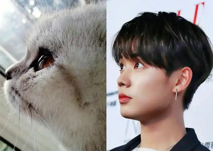 猫系男孩林彦俊好萌呀