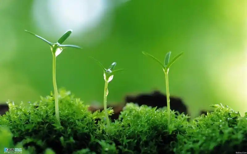 十二星座秘密【好久都不上了,这次重出江湖了.】