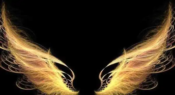 十二星座专属翅膀是什么