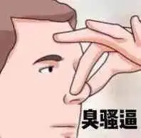 臭骚逼 捏鼻子_臭骚_鼻子表情