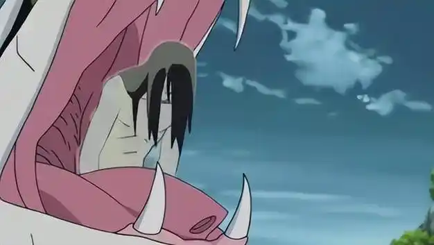 大蛇丸被复活之际,佐助叫重吾取出一部分大蛇兜的身体组织,以此为载体