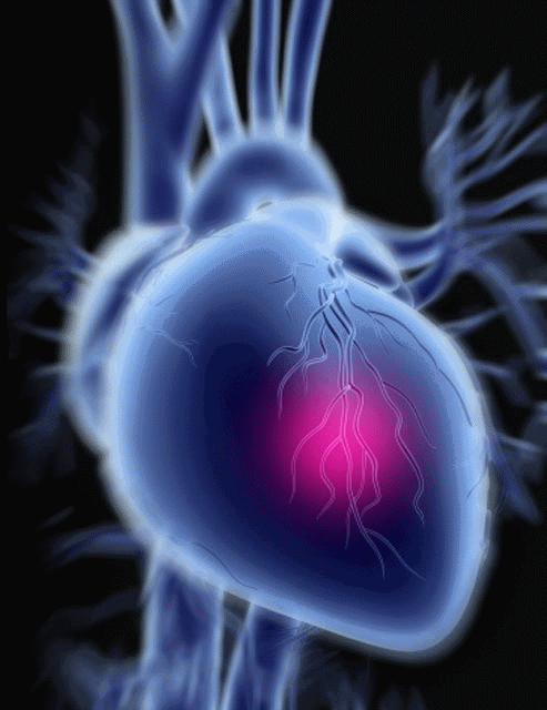 493_640竖版 竖屏gif 动态图 动图