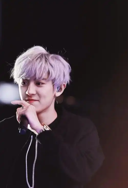 灿烈银发 kkk 有的是截图