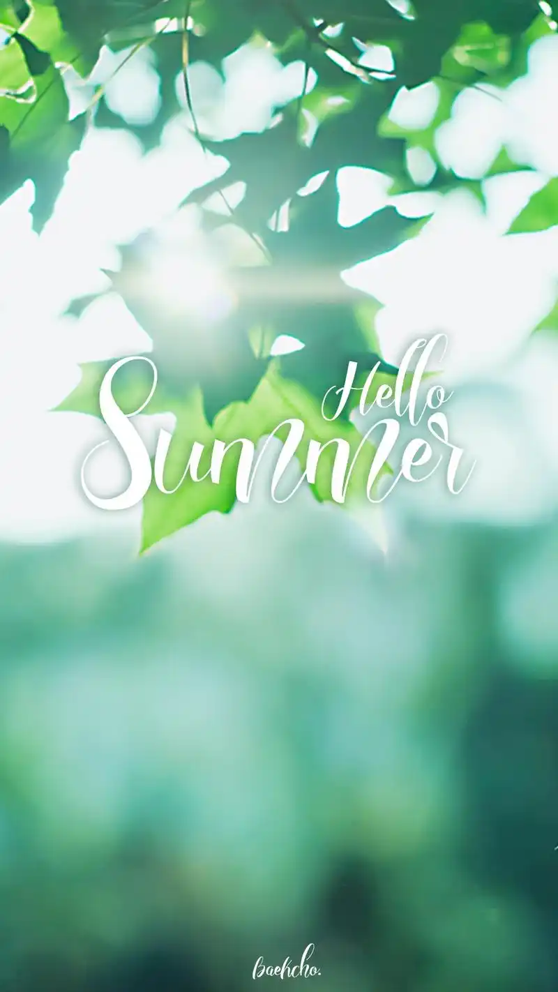 创意小清新文字你好夏天手机壁纸