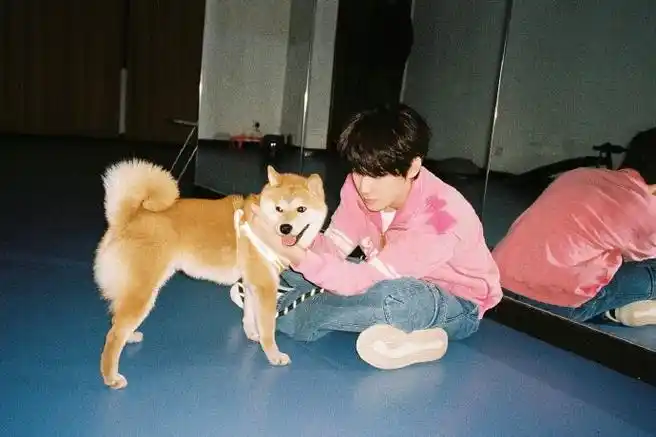 张真源 你最重要