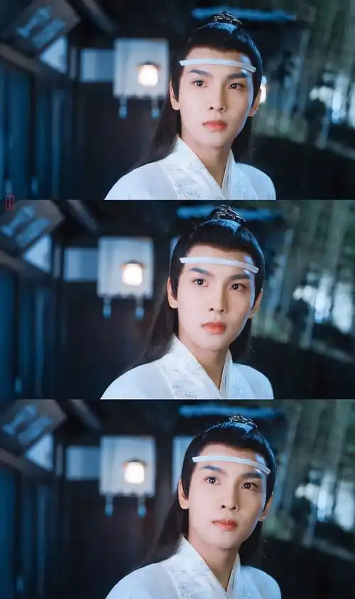 (郑繁星)蓝思追