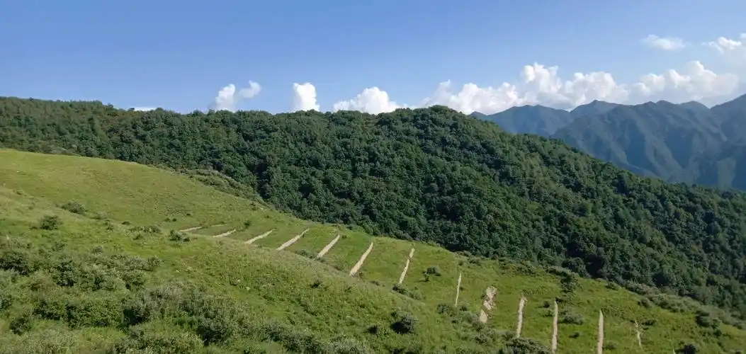 云朵上的牧场--蓝田流峪寺