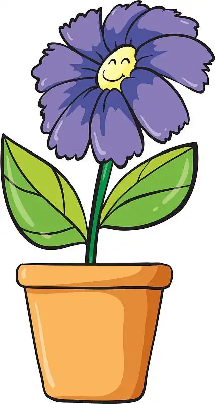 一个蓝色的花和花盆图片