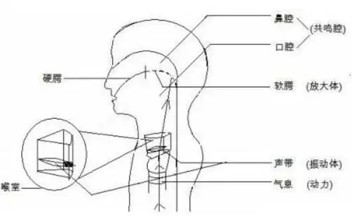 掌握三个唱歌的原理,让唱歌更轻松,再也不担心高音上不去了