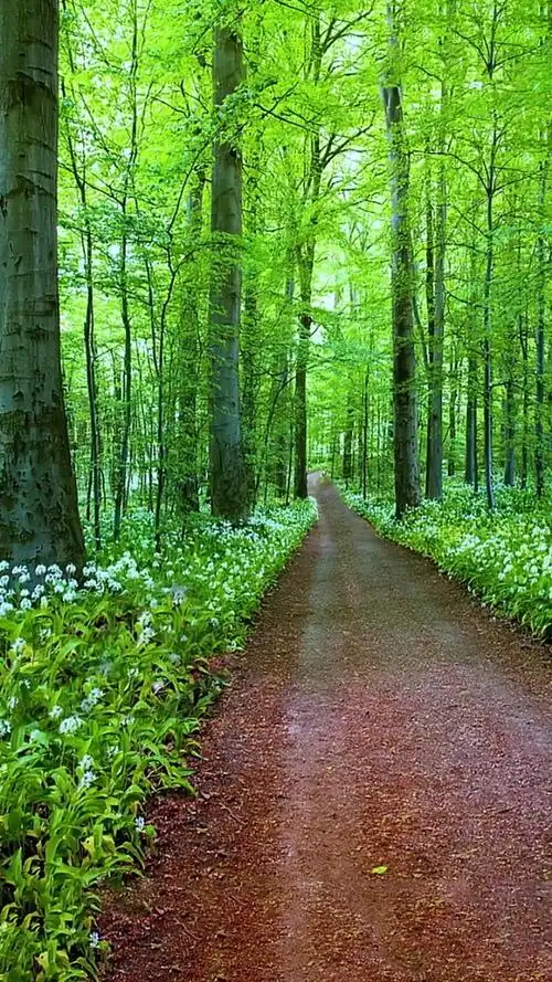 放下伪装的自我,真实的面目回归自然,接受大自然的洗礼~97