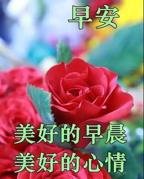 3,睡眼朦胧中请睁开你的双眼,清晨的祝福送到身边,今天又是美好的一天