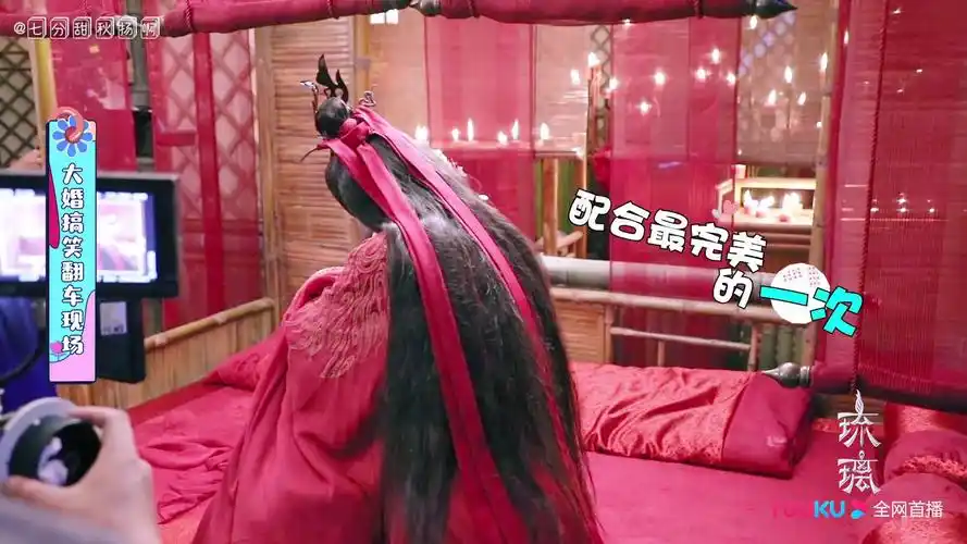 琉璃花絮 | 司凤最后一吐血