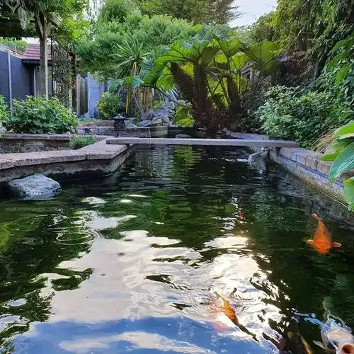 18款花园池塘水景案例