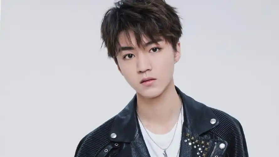 作者:尔露公子元气壁纸>电脑静态壁纸>电脑明星静态壁纸>王俊凯 小凯