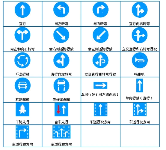 学车的逢看必过!