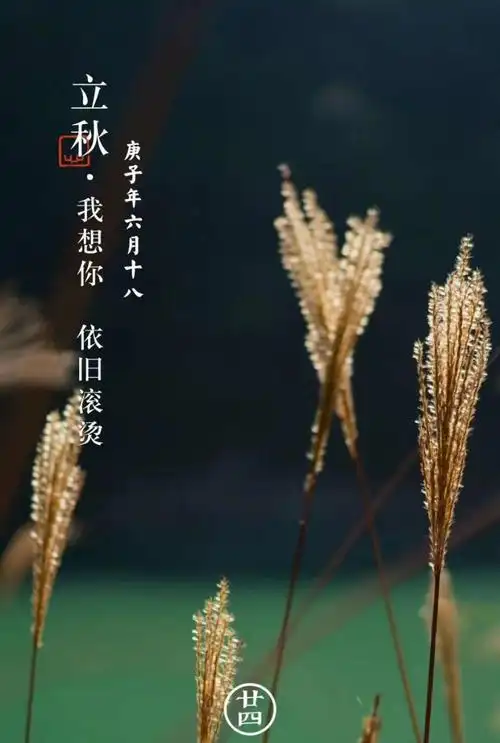 忙忙碌碌又是秋, 期待所有的美好不期而遇, 愿所有的困难随风而去