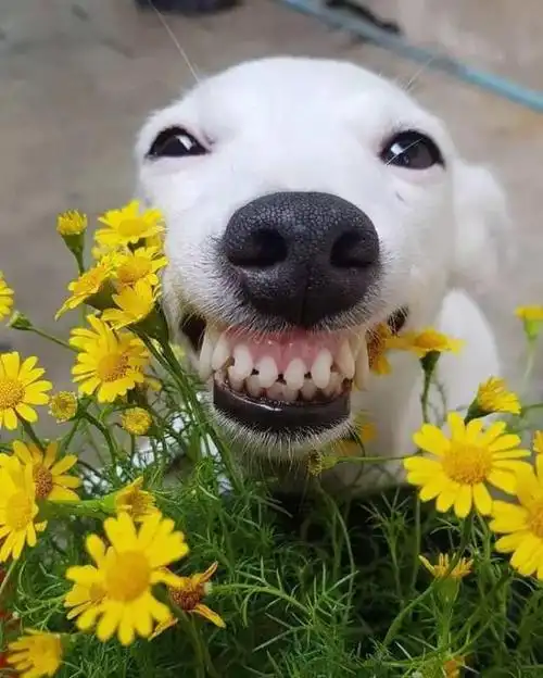 让你开怀大笑的段子:消闲解闷,拯救你的不开心!
