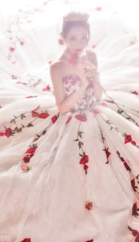 迪丽热巴婚纱造型玫瑰公主壁纸 不去想遥远的事只知道今晚月色温柔