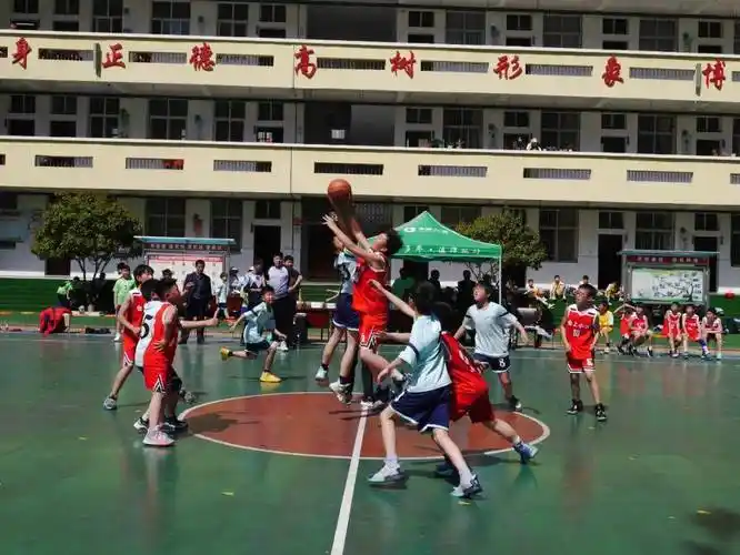 2024年白河县小学生篮球赛(北部赛区预赛)圆满落幕_仓上_比赛_啦啦队