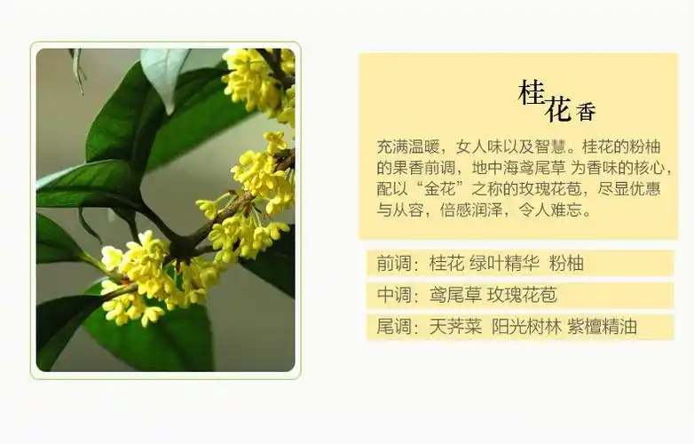 汽车出风口香水夹车用空调香薰摆件车内除异味幸福美