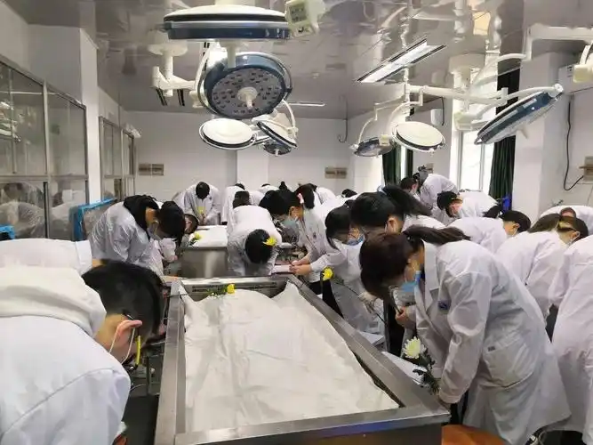 基础·特刊 | 北京大学基础医学院"感恩无言良师,牢记医者使命"清明