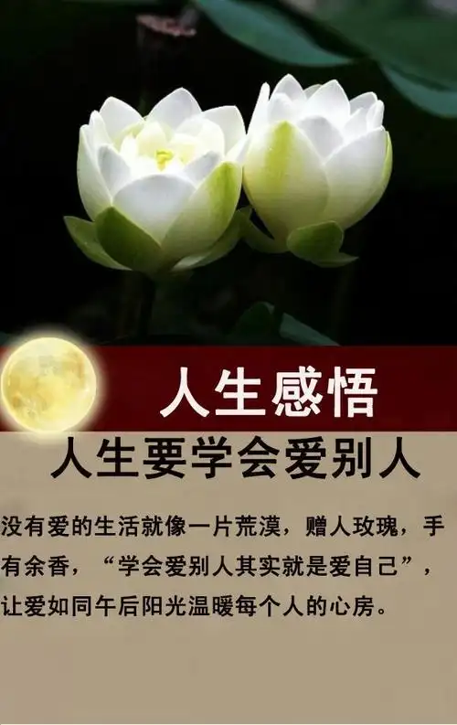 感悟人生9句话透视生活苦与累句句精辟