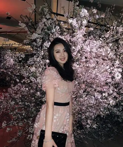 拒绝何猷君追求,家有二百亿身家!华为小公主姚安娜6点背景公开