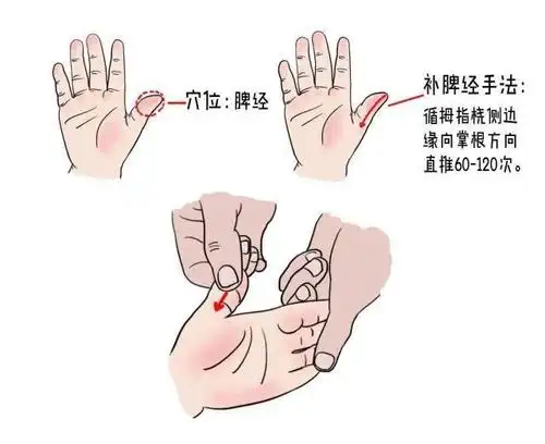 简单几步按摩手法, 不再担心宝宝积食_数月亮