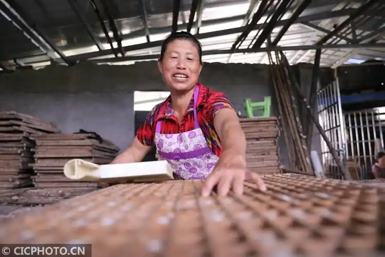 湖南道县:桑蚕养殖富农家