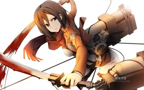 三笠·阿克曼桌面壁纸,第18张图片-堆糖,美好生活研究所